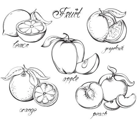 Online coloring book: Coloring lemon and other fruits